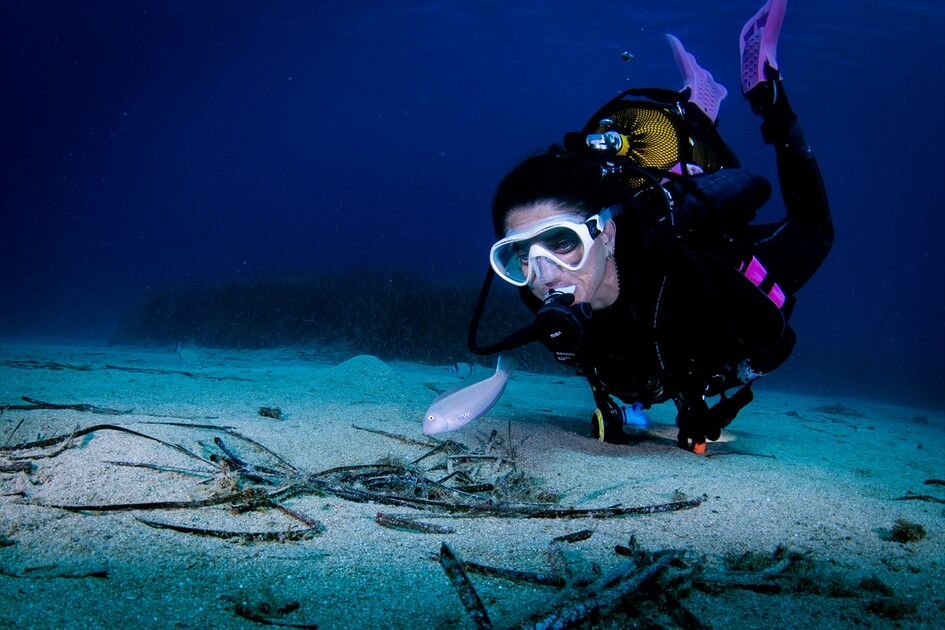 Octopus becomes first inhabitant of artificial reef made from discarded mussel shells in Turkiye's Izmir