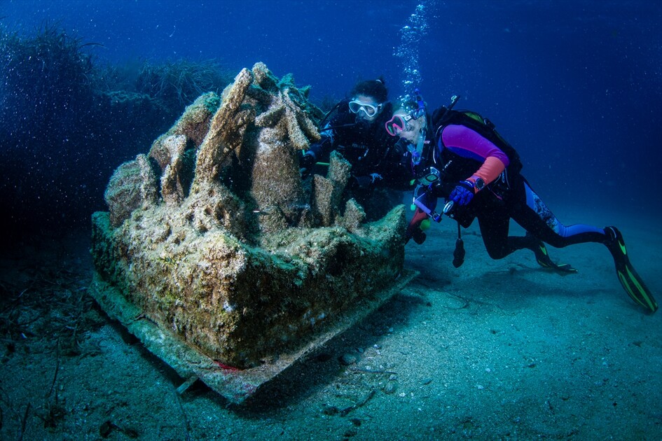 Octopus becomes first inhabitant of artificial reef made from discarded mussel shells in Turkiye's Izmir