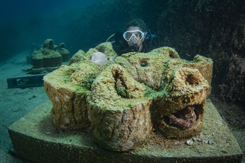Octopus becomes first inhabitant of artificial reef made from discarded mussel shells in Turkiye's Izmir