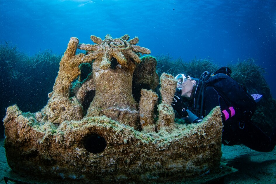 Octopus becomes first inhabitant of artificial reef made from discarded mussel shells in Turkiye's Izmir