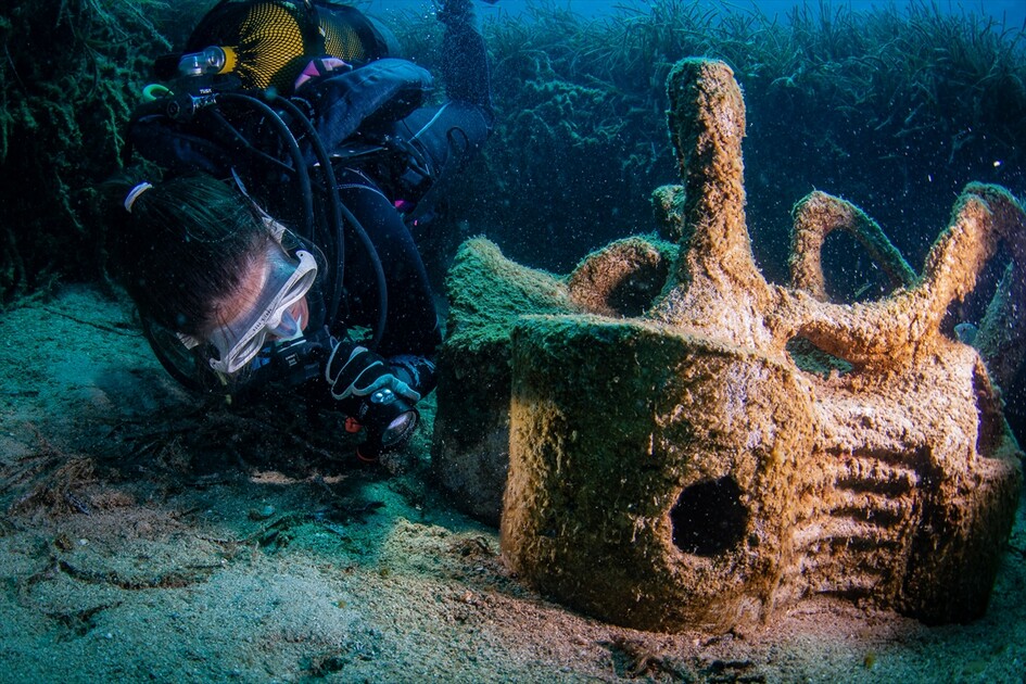 Octopus becomes first inhabitant of artificial reef made from discarded mussel shells in Turkiye's Izmir