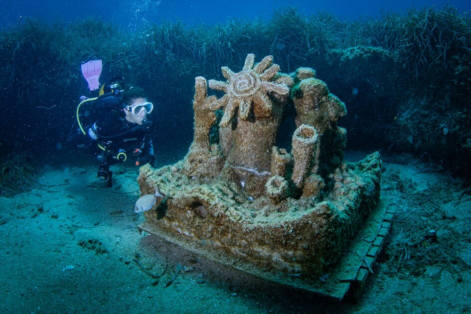 Octopus becomes first inhabitant of artificial reef made from discarded mussel shells in Turkiye's Izmir