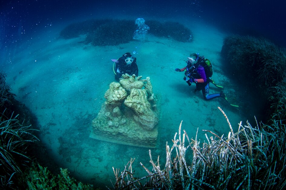 Octopus becomes first inhabitant of artificial reef made from discarded mussel shells in Turkiye's Izmir