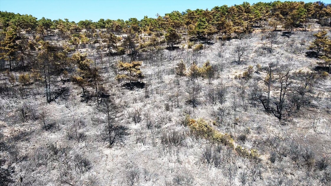 Muğla'da yanan ormanlık alan havadan görüntülendi