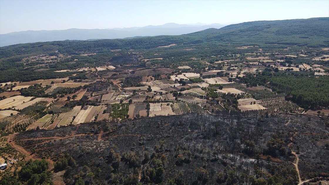 Muğla'da yanan ormanlık alan havadan görüntülendi