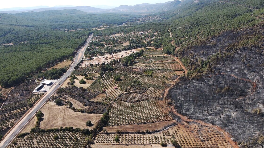 Muğla'da yanan ormanlık alan havadan görüntülendi