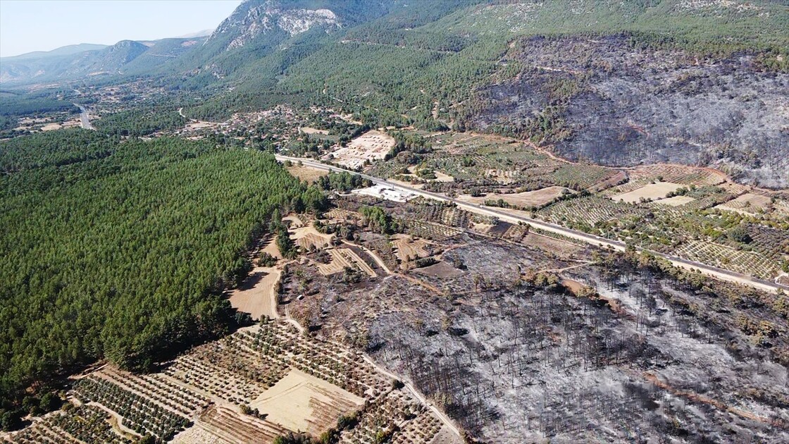 Muğla'da yanan ormanlık alan havadan görüntülendi