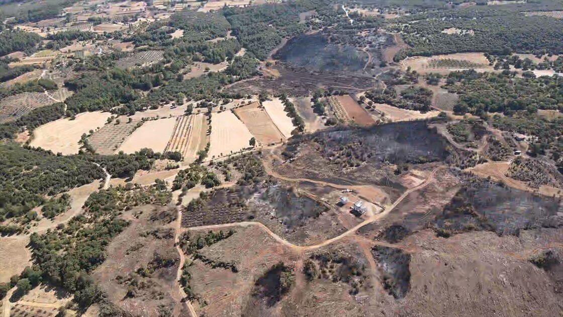 Muğla'da yanan ormanlık alan havadan görüntülendi