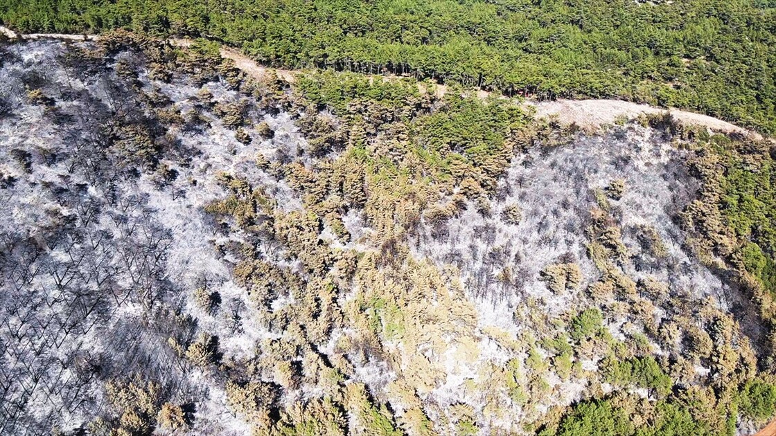 Muğla'da yanan ormanlık alan havadan görüntülendi