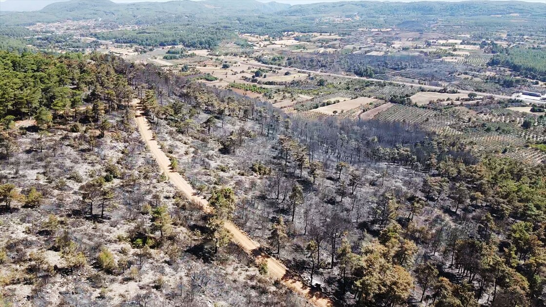 Muğla'da yanan ormanlık alan havadan görüntülendi