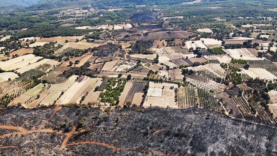 Muğla'da yanan ormanlık alan havadan görüntülendi