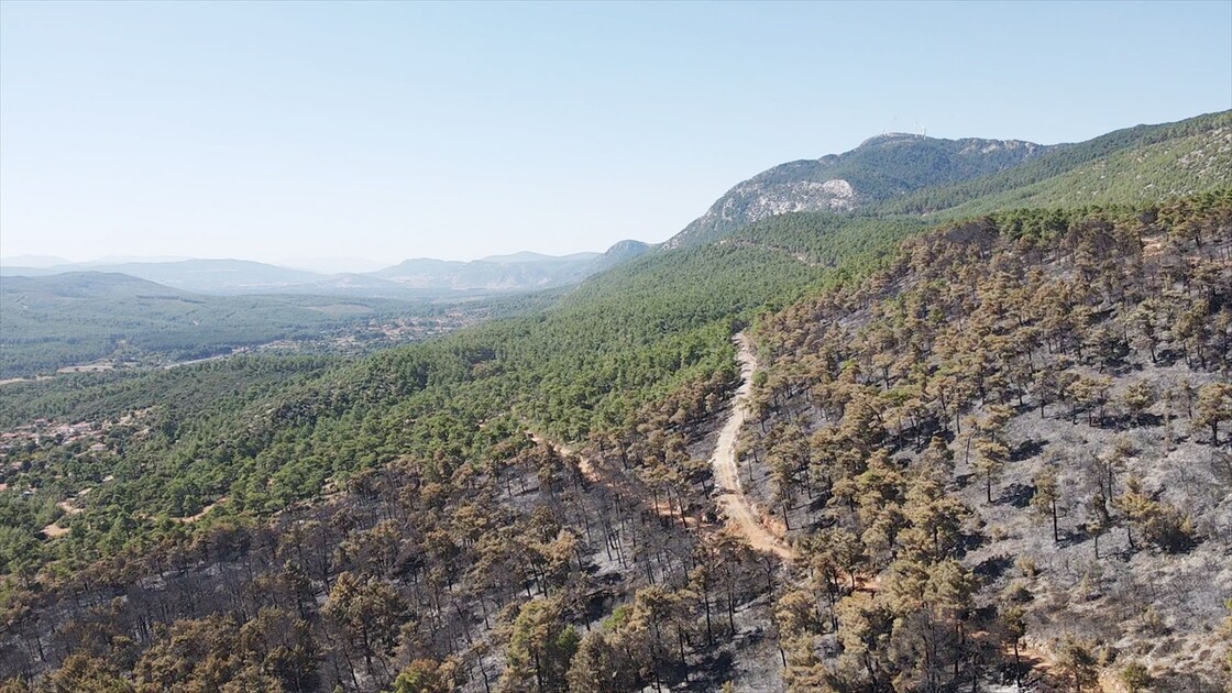 Muğla'da yanan ormanlık alan havadan görüntülendi