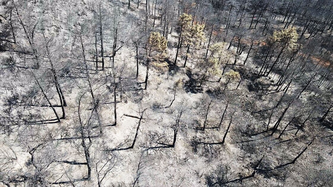 Muğla'da yanan ormanlık alan havadan görüntülendi