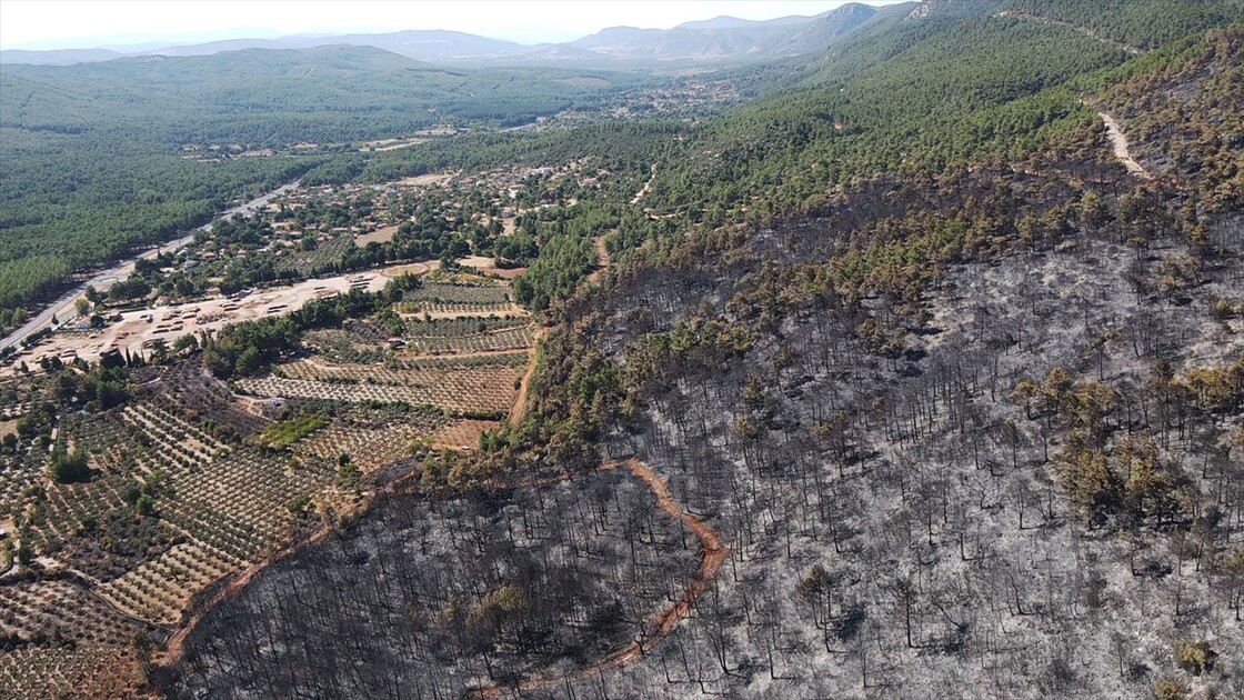 Muğla'da yanan ormanlık alan havadan görüntülendi