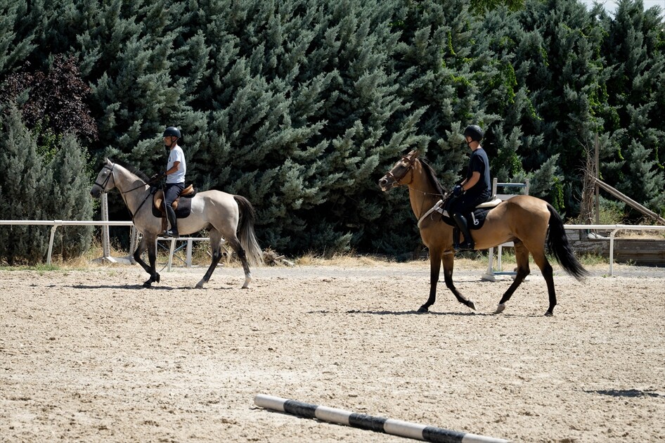Ahal Teke atlarının sportif potansiyeliyle uluslararası başarı hedefi